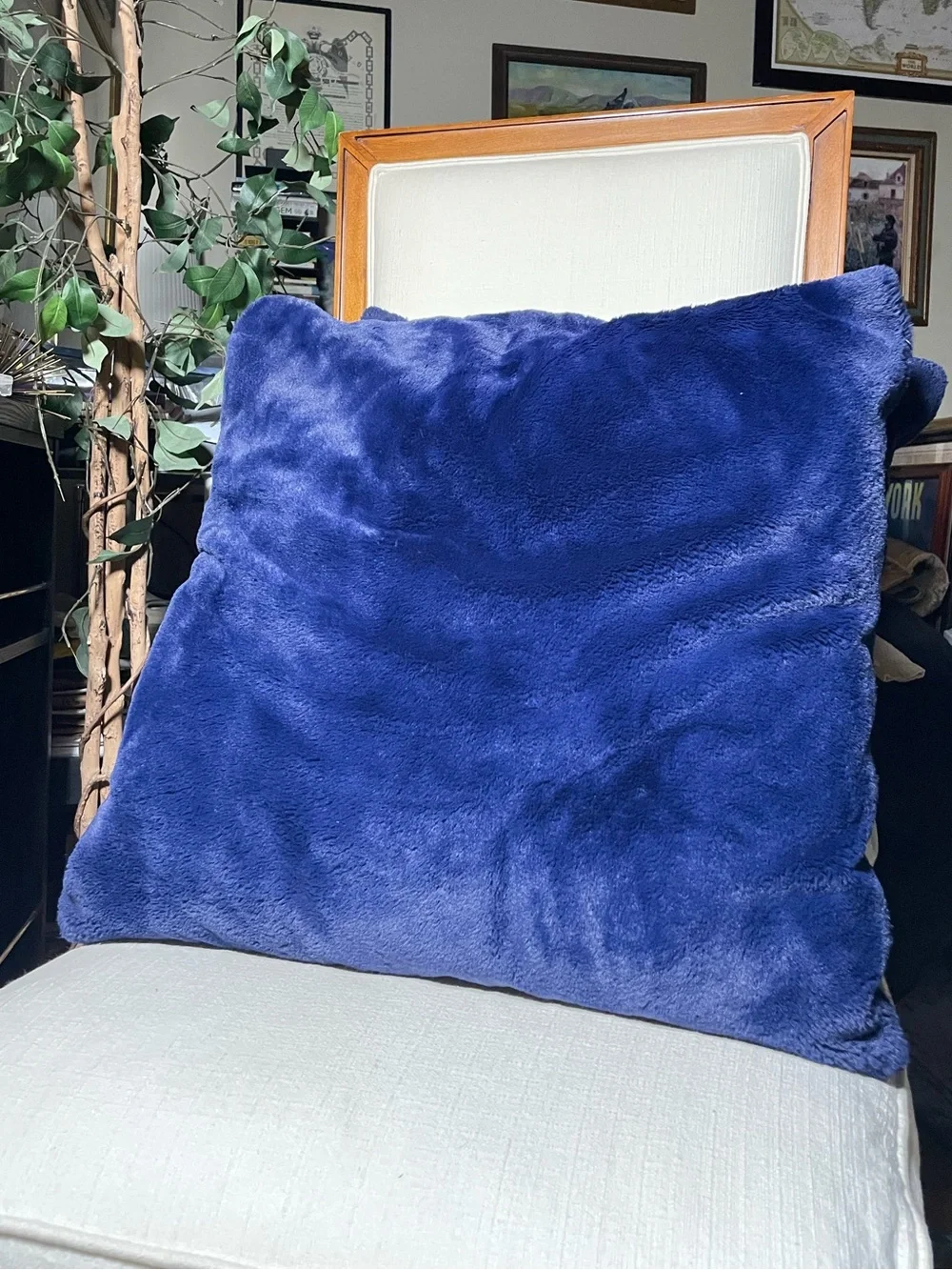 Royal Blue Velvety Soft 22” Throw Pillows - Set of 2